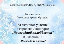 Изображение из альбома Дипломы Залесской Ирины Юрьевны