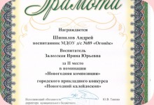 Изображение из альбома Дипломы Залесской Ирины Юрьевны